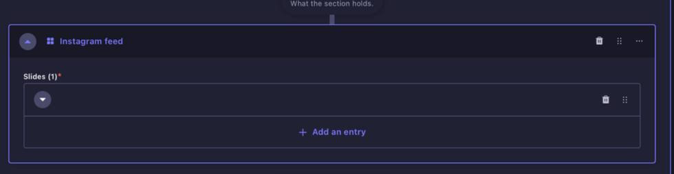 Instagram Feed content block in Strapi
