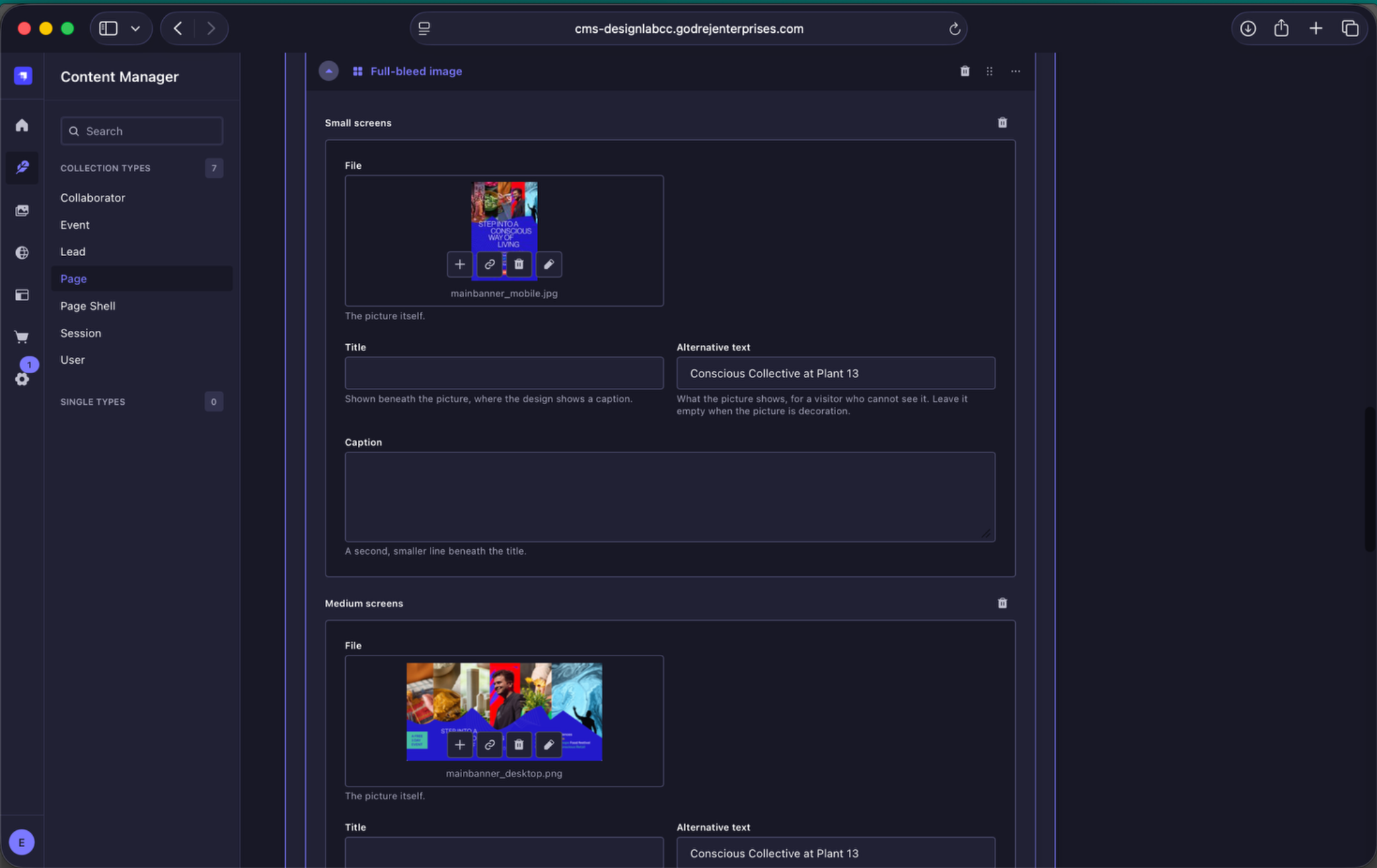 Landing Page key visual image fields