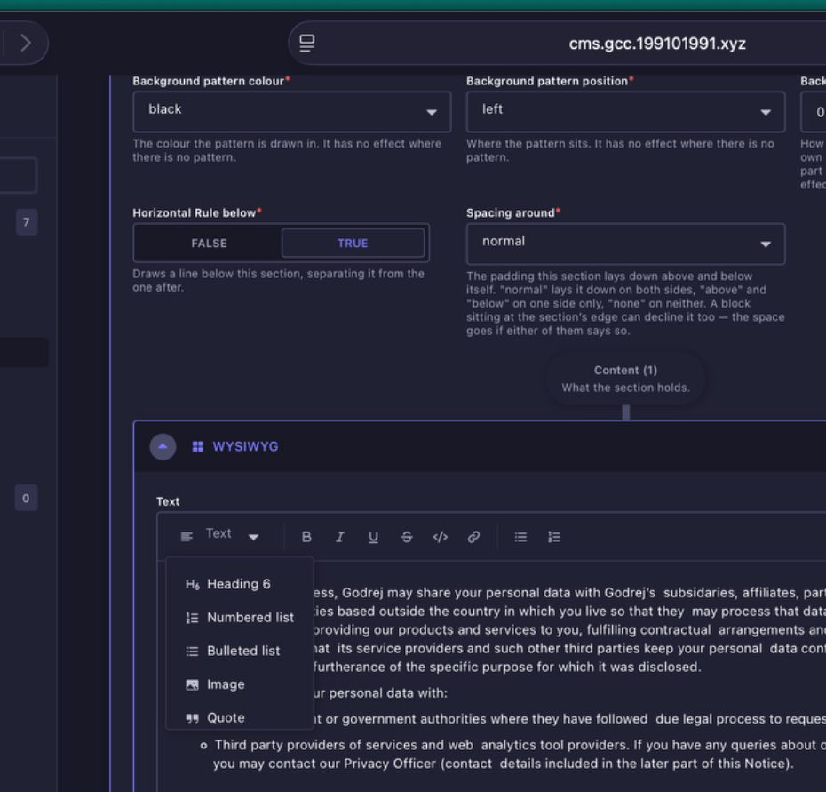 WYSIWYG bullet formatting controls in Strapi